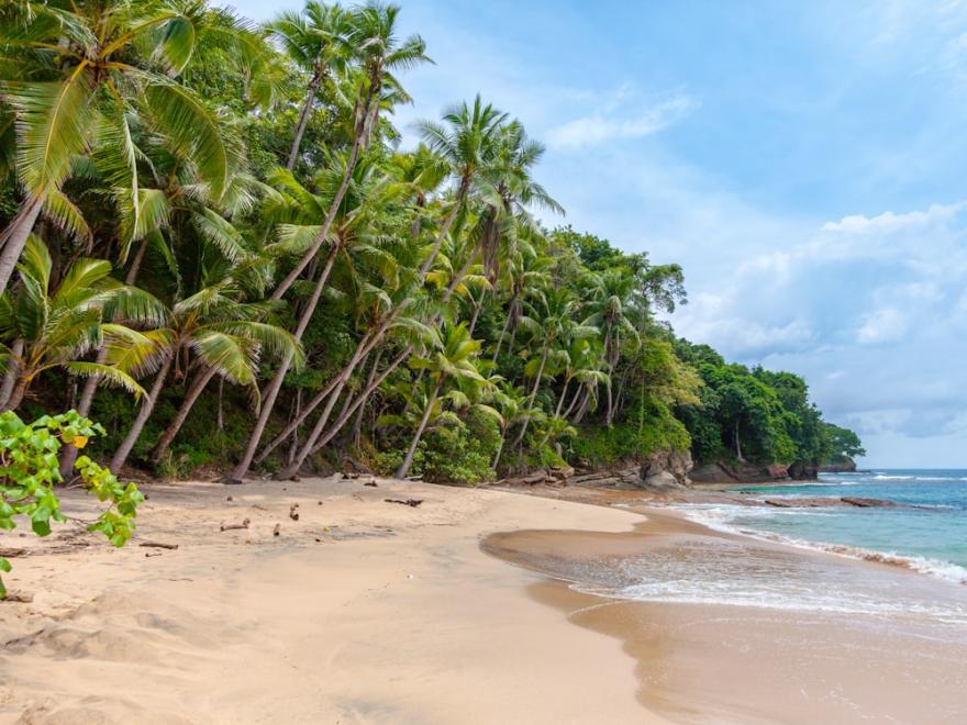 Long Weekend in Goa